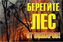 Знак Берегите лес от огня! 1200х800 мм EKF | код zn-1-02 | EKF