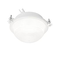 Светильник ДПП-03-13-001 LED прозрачный c лампой холодный Е27 IP65 без сетки