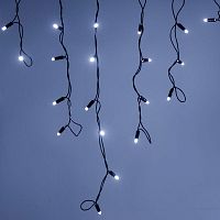 Гирлянда светодиодная декоративная ARD-EDGE-PRO-5600x900-BLACK-240LED-FLASH WHITE (230V, 15W) (ARDCL, IP65) | код 26032 | Arlight