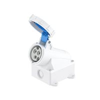 Розетка настенная WS IP67 63A 2P+E 230В | код DIS5156353 | DKC