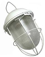 Светильник НСП-02-100-003 с решеткой окрашенный IP52 | код 10112 | ВЛАДАСВЕТ