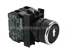 Кнопка нажимная круглая черная со стрелкой B102DH-0D | код B102DHOD | EMAS