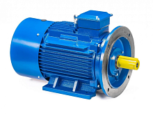Электродвигатель 225 М6 IM 2001 37/1000 Китай (5АИ) | код 01.01.213662 | ESQ