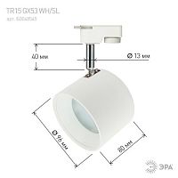Светильник трековый однофазный TR15 GX53 WH/SL белый+серебро | код Б0048545 | ЭРА
