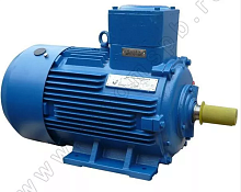 Электродвигатель 180 М2 У1, 380/660В, 1ExdIIBT4 Gb, IM 1081 30/3000 Орлан (АИМУ) | код 01.02.02.000456 | ESQ