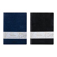 Тетради 60 л. в клетку обложка гладкий кожзам, НАБОР 2 шт., сшивка, B5 (179х250 мм), BRAUBERG VIVA, 403900 | код 403900 | BRAUBERG