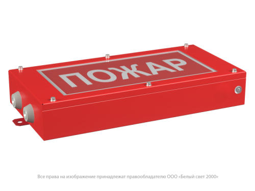 Указатель световой BS-CANRON-10-S1-24 | код a15578 | Белый Свет фото 2