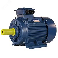 Электродвигатель 5АИ 160 М2 18.5/3000 IM 1001 | код 01.01.213692 | Элком