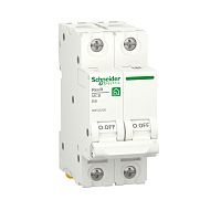 RESI9 АВТОМАТИЧЕСКИЙ ВЫКЛЮЧАТЕЛЬ (АВ) B 6А 2P 6000A | код R9F02206 | SCHNEIDER ELECTRIC