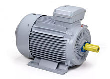 Электродвигатель 180 M2-SDN-Б1-S12-IE2 IM B3 22/3000 Китай (ESQ PR) | код 01.05.02.000023 | ESQ