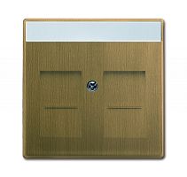 Плата центральная (накладка) для коммуникационных розеток с суппортами 1810, 1812, 1814, 1816 и 1818, с полем для надписи, 1816, 1818, серия Династия, Латунь античная 1800-840-500 | код 2CKA001710A4085 | ABB