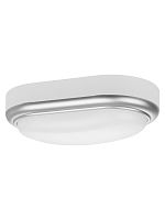Светильник накладной LED ДПО Антарес 15Вт 6500К овал 221*131*68 мм мат.серебро IP54 TDM | код SQ0354-0029 | TDM