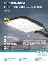 Светильник уличный линзованный светодиодный ДКУ-2L 120Вт 230В 5000К 15000Лм 125лм/Вт 48-70мм IP65 NEOX | код 4690612057095 | NEOX