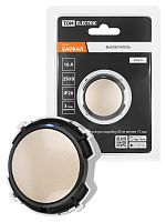 Выключатель 1-кл. 16А 250В проходной кнопочный механизм шампань, Байкал TDM | код SQ1819-0523 | TDM