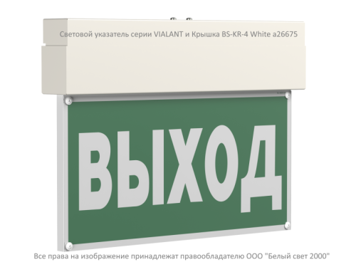 Указатель световой BS-VIALANT-10-S1-24 | код a15630 | Белый Свет фото 6 Указатель световой BS-VIALANT-10-S1-24 | код a15630 | Белый Свет фото 6