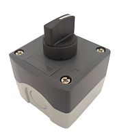 ПКУ21Е-111-65 УХЛ2 КПЕ4611Р, табл, без сальников | код XALD132.BR | Briswik