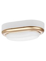 Светильник накладной LED ДПО Антарес 8Вт 6500К овал 168*100*58 мм мат.золото IP54 TDM | код SQ0354-0024 | TDM