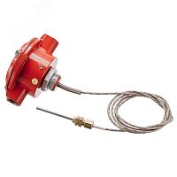 Извещатель тепловой взрывозащищенный высокотемпературный ИП101-07вт -С , без кабельных вводов | код ER001000002721-0000 | Эридан