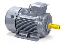 Электродвигатель 100 L4 GST-Б1-S12-IE2 IM 1081 4/1500 Китай (ESQ PR) | код 01.01.223749 | ESQ