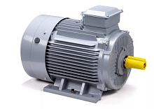 Электродвигатель 280 S4 GST-Б1-S12-IE2 IM 1001 110/1500 Китай (ESQ PR) | код 01.01.223809 | ESQ