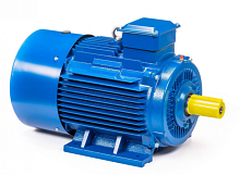 Электродвигатель 225 М8 IM 1001 30/750 Китай (5АИ) | код 01.01.213663 | ESQ