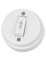 Переключатель на 2 направления 1-кл. открытой установки IP20 10А белый Ретро TDM | код SQ1806-0506 | TDM